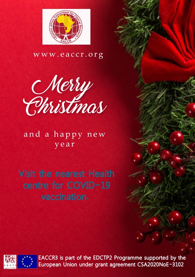 Merry Christmas and Happy New Year Greetings